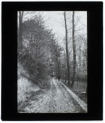 Sentier à Neslette - mai 1902