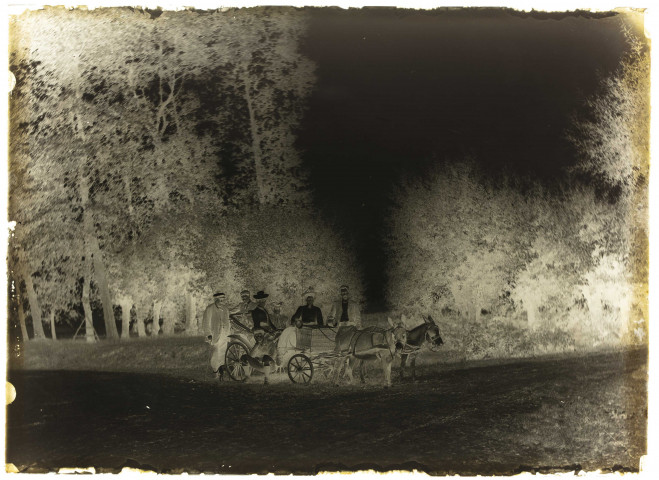 Environs de Martinsart (Somme). Famille Danel, balade dans petite calèche tirée par deux ânes
