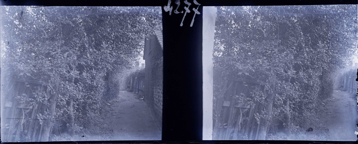 Le Crotoy (Somme). Sentier arboré