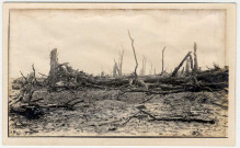 Secteur de la bataille de la Somme dans les environs d'Estrées-Deniécourt. Paysage apocalyptique