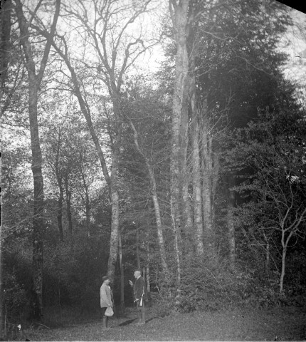 Portrait de chasseurs dans un bois