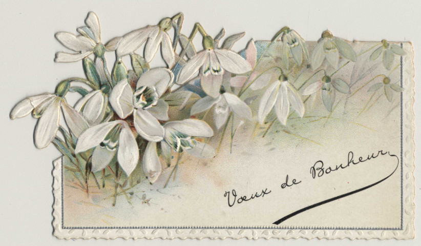 Voeux de bonheur. Des fleurs. Une amie qui pense à vous. Henriette Jolly