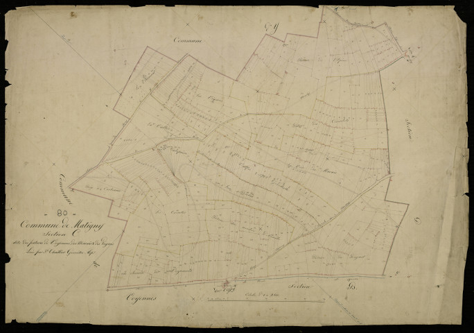 Plan du cadastre napoléonien - Martigny (Matigny) : Pâtures de Voyennnes, des Marais et des Vignes (Les), C