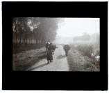 Chemin de halage à Ailly-sur-Somme - octobre (brouillard)