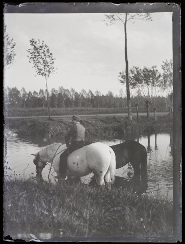 [Un homme abreuvant ses chevaux dans une mare. Le photographe a ajouté manuellement à l'encre au bas de la plaque des effets d'herbes et de végétation]