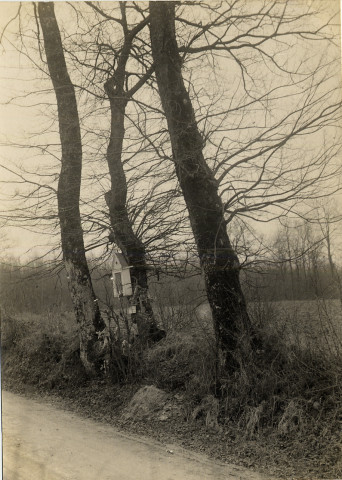L'arbre de Saint-Claude à Sénarpont, dit l'arbre à loques ou " l'friperie d'Saint-Gleude"