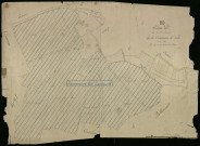 Plan du cadastre napoléonien - Nesle : Saint-Léonard, D