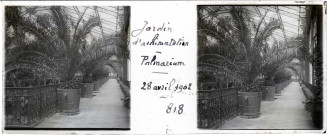 Jardin d'acclimatation - Palmarium