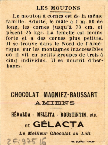Chocolat Magniez-Baussart, Amiens. Mouton à cornes