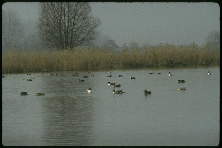 Sarcelles hiver 1991