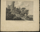 2ème vue de l'ancien château de Braine, prise sur le penchant de la montagne