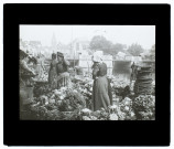 Amiens - marché aux légumes
