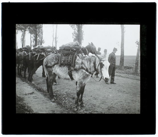Manoeuvres du service de santé route de Dury - octobre 1902