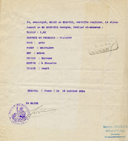 Dossier individuel de délivrance du brevet d'aptitude au pilotage de Félix Camille Georges Morteux