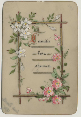 L'amitié les a choisies. Des fleurs