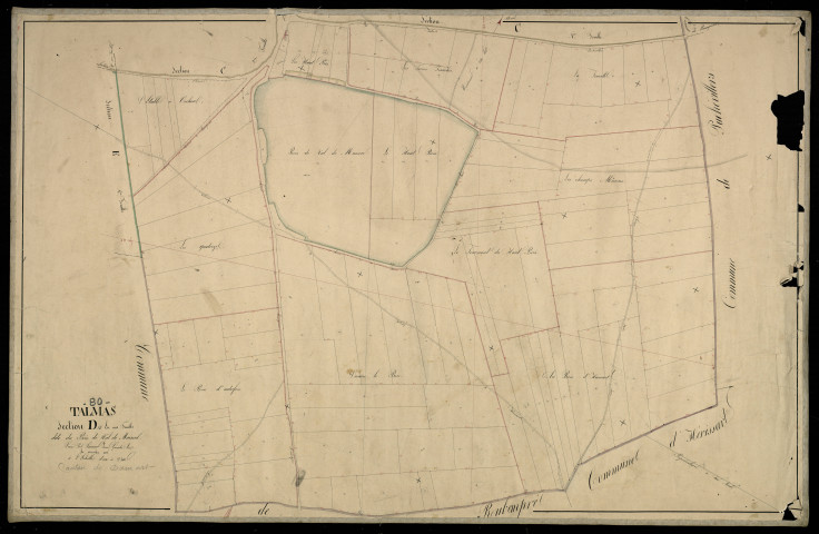 Plan du cadastre napoléonien - Talmas : Bois de Val de Maison (Le), D