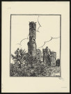Ruines du Château de Folleville