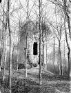 Les ruines de la poterne du château