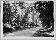 Nne route à l'est de Arry, 1925