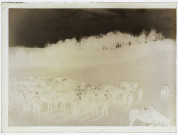 Manoeuvres de l'armée Territoriale à Blangy-sous-Poix 3eme chasseurs à cheval - octobre 1904