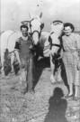 Rubempré. Portrait de Jean et Paulette Vilbert devant leur attelage de chevaux