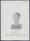 Lavièville : croix de pierre d'origine inconnue - (Reproduction interdite sans autorisation - © Claude Piette)