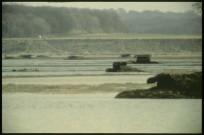 Hutte flottante en baie de Somme