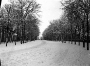 L'avenue de la Hotoie sous la neige