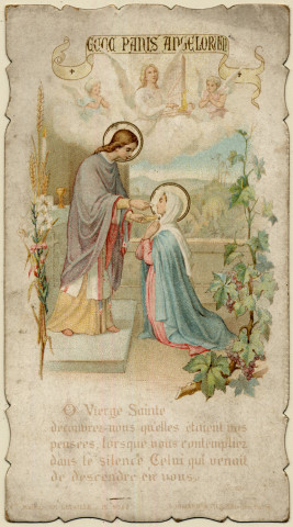 O Vierge Sainte découvrez nous qu'elles étaient vos pensée, lorsque vous contempliez dans le silence Celui qui venait de descendre en vous. Souvenir de première communion de Germaine Boulongne faite en la Cathédrale d'Amiens le 6 juin 1901