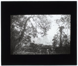 Dans le parc du château de Guyencourt - octobre 1910