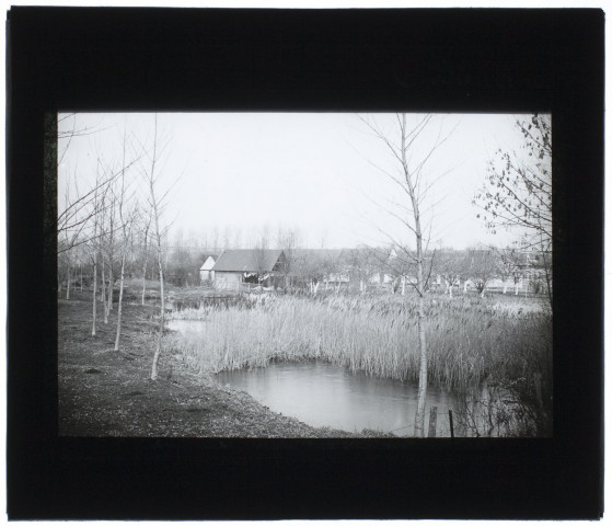 Dans les marais de Longpré-les-Amiens - avril 1901