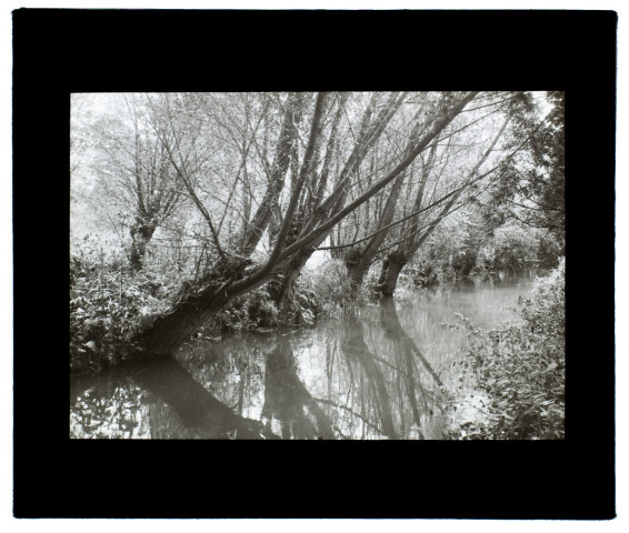 Rivière de l'Âvre à Boves - septembre 1913