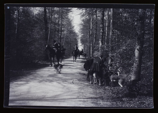Bois du Mazis - 20 avril 1914