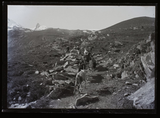 Route du lac Noir le départ - juillet 1903