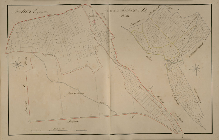 Plan du cadastre napoléonien - Lucheux : C2 et partie de D1