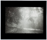 Chemin de la Vieille Somme - brouillard - octobre 1931
