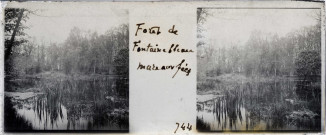 Forêt de Fontainebleau - mare aux fées
