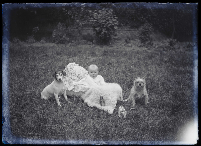 Martinsart (Somme). Un bébé assis dans le jardin avec ses jouets en compagnie de deux chiens