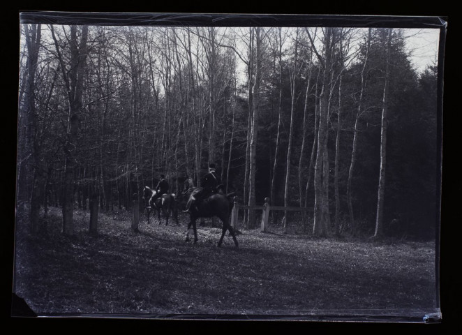 Forêt d'Eu - 17 avril 1914