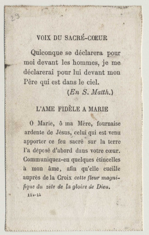 La Rose Ardente, figure du zèle pour la gloire de Dieu. Dévotions aux Coeurs de Jésus et de Marie