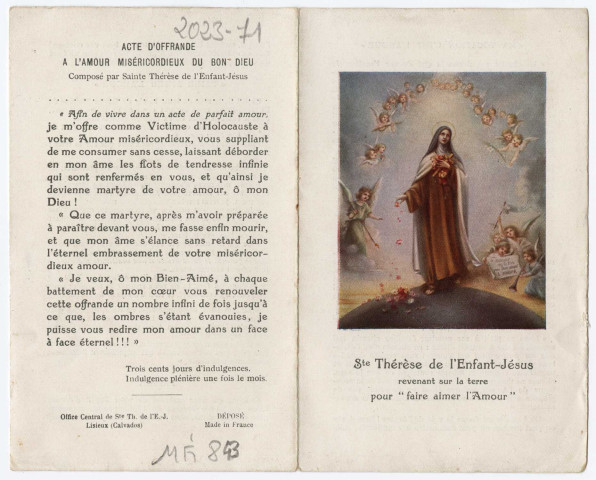 Sainte Thérèse de l'Enfant-Jésus revenant sur la terre pour faire aimer l'Amour