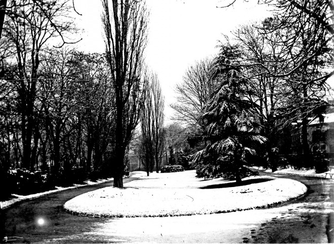 Vue d'un parc enneigé