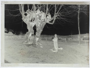 L'arbre des mariages à Lucheux, la descente - mars 1905
