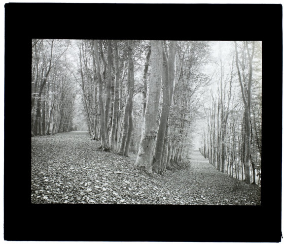 Parc de Guyencourt - 1907