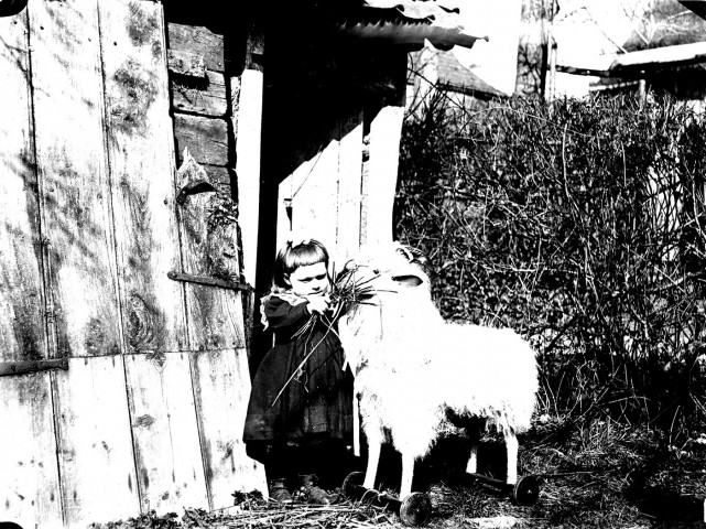 Portrait de fillette jouant avec son mouton mécanique