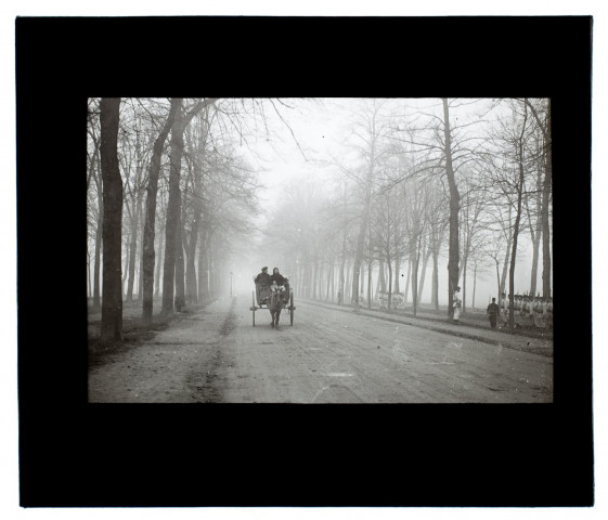 Effet de brouillard à la Hotoie - octobre 1912