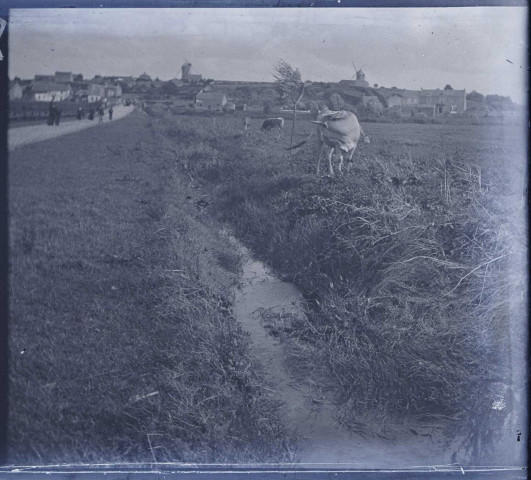 Campagne dans les environs du Crotoy (Somme). A l'horizon, se dessine la silouhette de deux moulins à vent