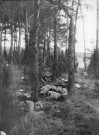 La Grande Guerre dans la Somme. Cadavres de soldats allemands dans un bois