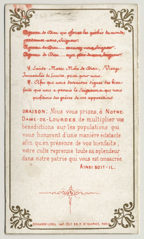 Je suis l'Immaculée Conception. La basilique de Lourdes