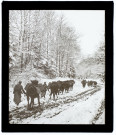 [Convoi de soldats et chevaux dans la neige - Guerre 1914-1918]